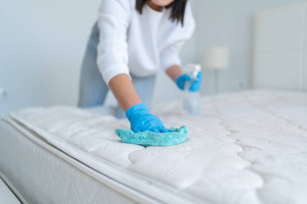 Pet Stain and Odor Removal Upholstery Cleaning